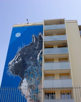Visioconférence Street Art