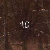 10 décembre 7 10 décembre