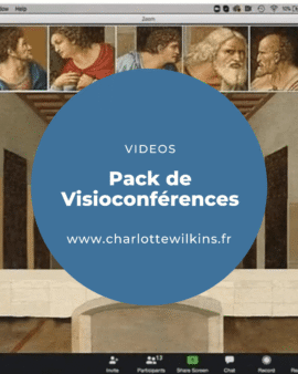 6) Pack de Visioconférences